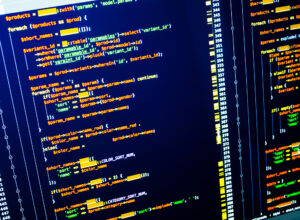A PHP script running in an IDE