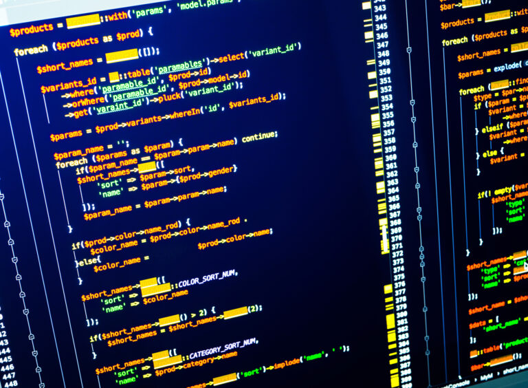 A PHP script running in an IDE