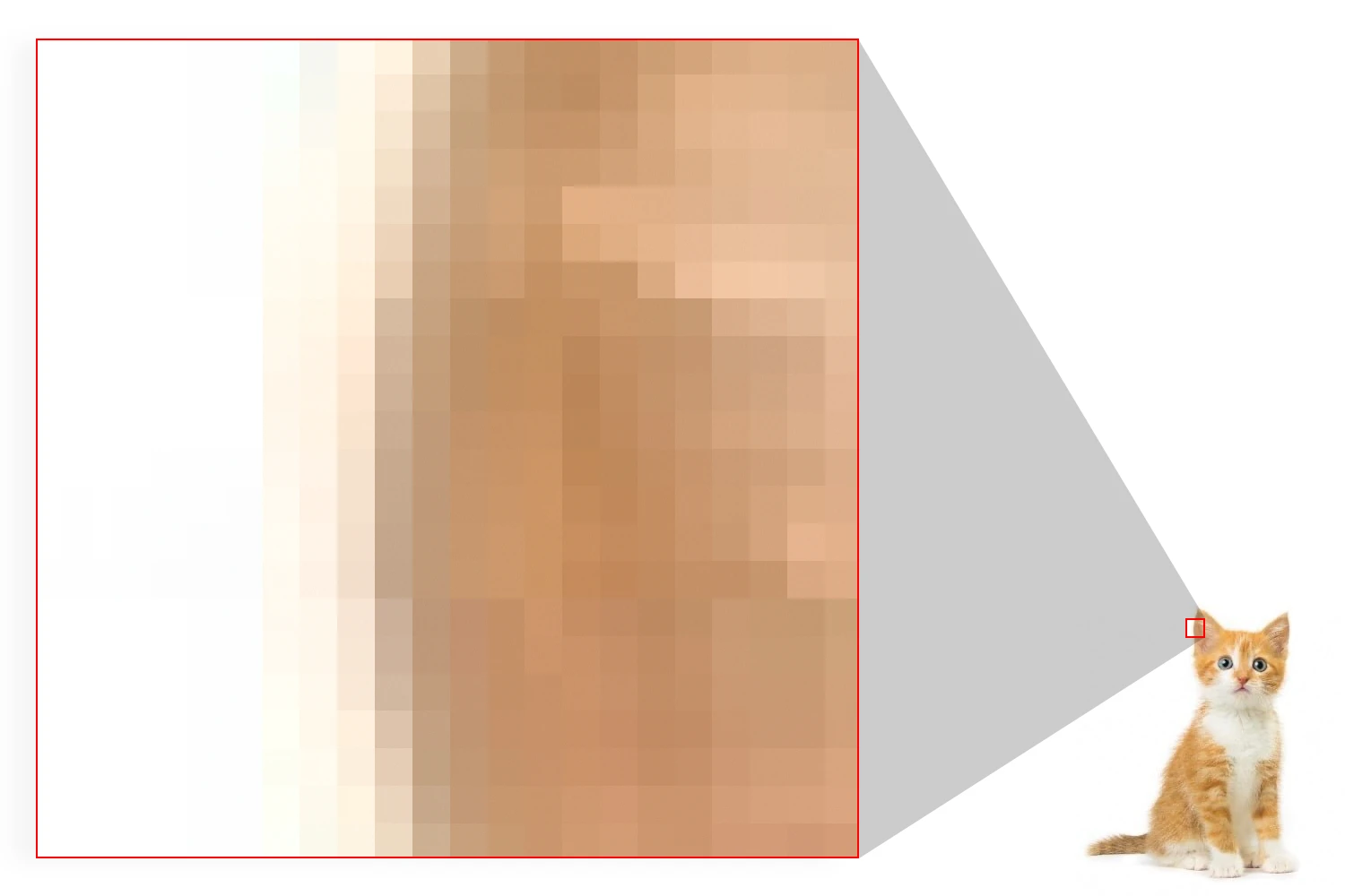 How bitmap or raster images work