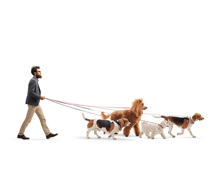 Generating leads from Website Traffic