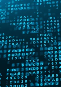 Random digital data - web development services