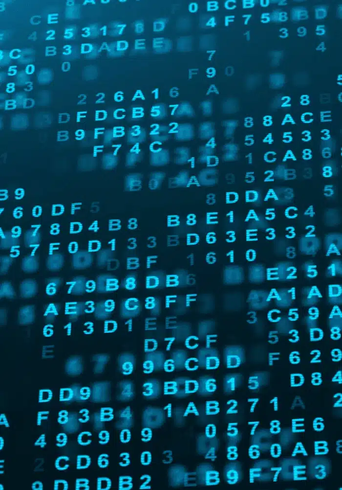 Random digital data - web development services