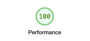 100% Perfomance on Google Lighthouse - Now That's a Fast Website