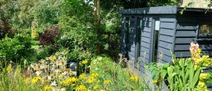 Dore Garden Offices’ new website by Little Fire Digital