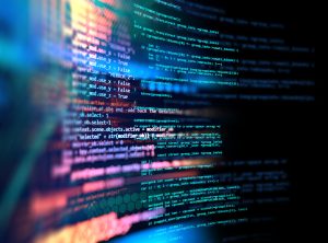 How Much Should I pay for web development?