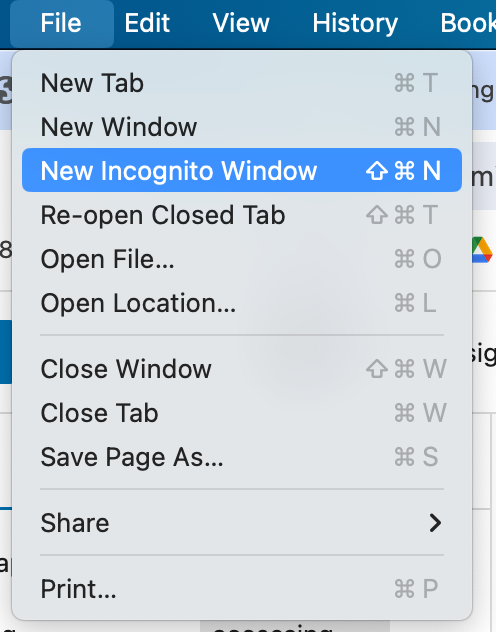 installing lighthouse extension