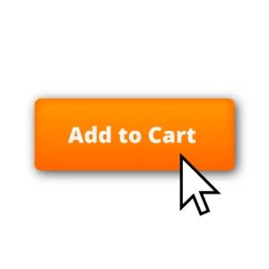 e-commerce web design and development from Little Fire Digital