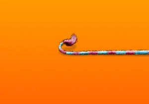 Long-tail search - masthead