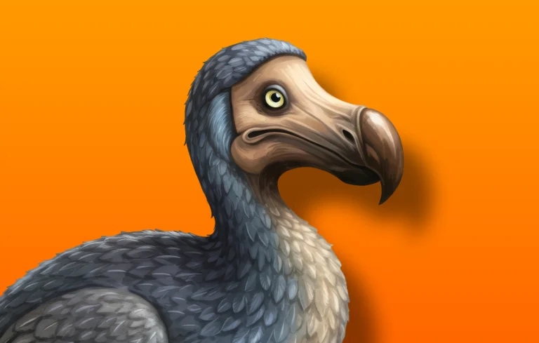 Don’t let your website traffic go the way of the dodo
